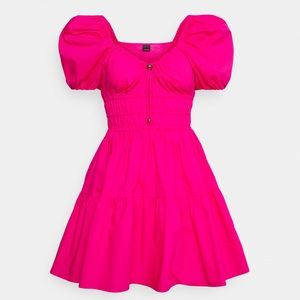 NWT PINKO Abriolas Dress